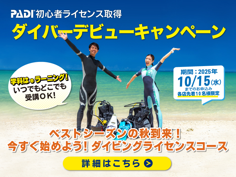 ダイバーデビュー応援キャンペーン開催中！
