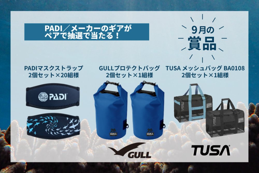 ダブルチャンスプレゼント
