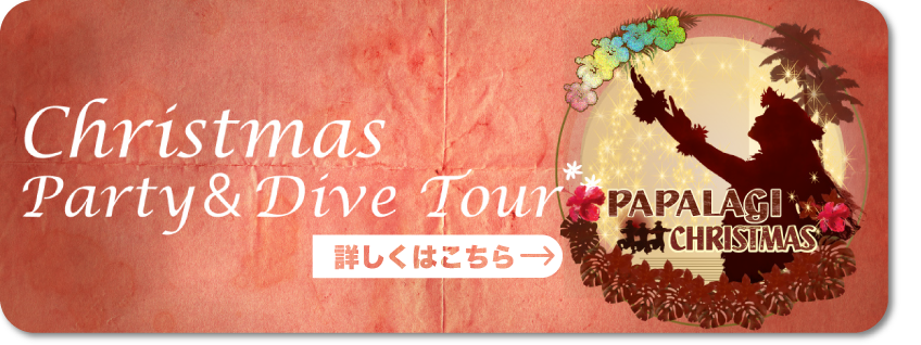 2025年クリスマスツアー