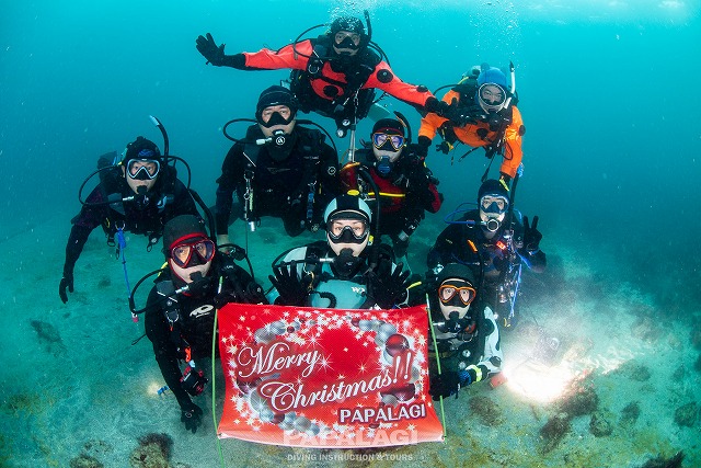 2025.11.29(土)-30(日)