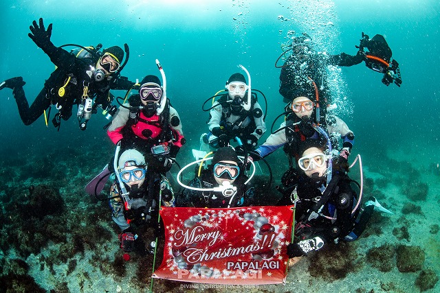 2025.11.29(土)-30(日)