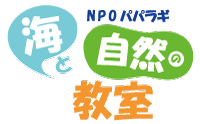 NPO パパラギ 海と自然の教室