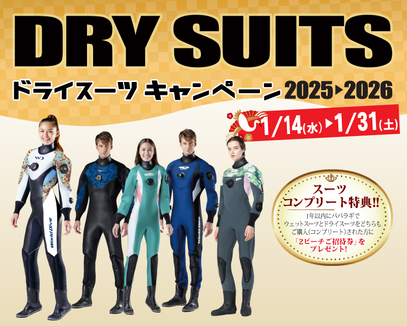 パパラギのドライスーツキャンペーン