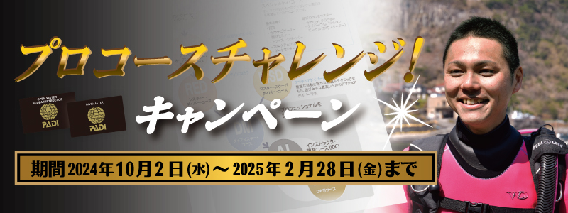 プロコースキャンペーンはこちら