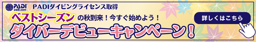 PC用