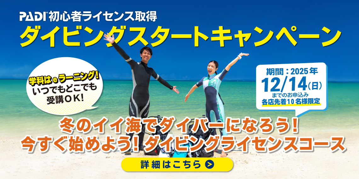 ダイバーデビュー応援キャンペーン開催中！