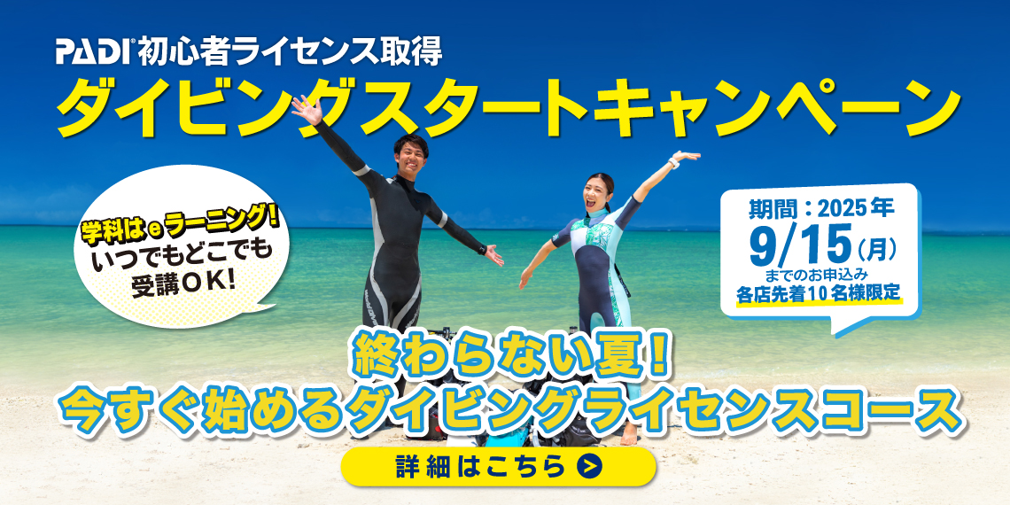 ダイバーデビュー応援キャンペーン開催中！