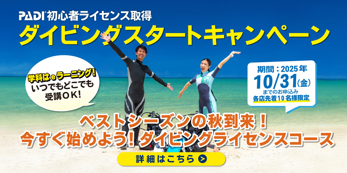 ダイバーデビュー応援キャンペーン開催中！