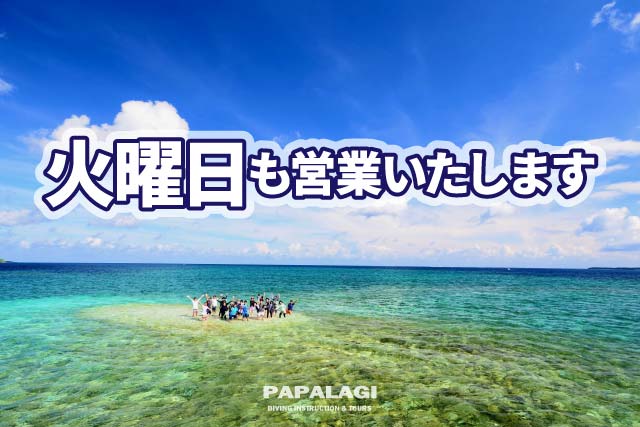 火曜日も営業いたします。