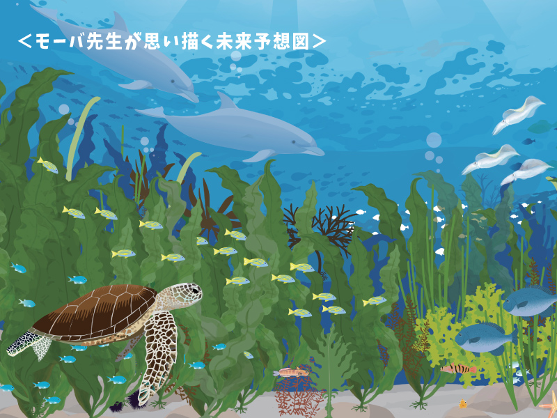 PADI江ノ島 藻場 スペシャルティ