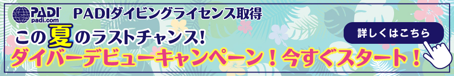PC用