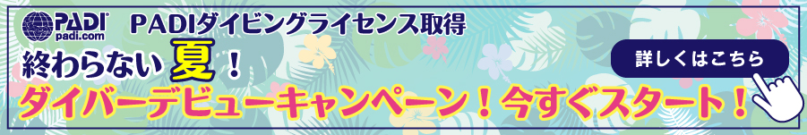 PC用