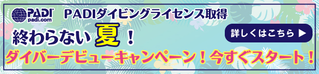 スマホ用