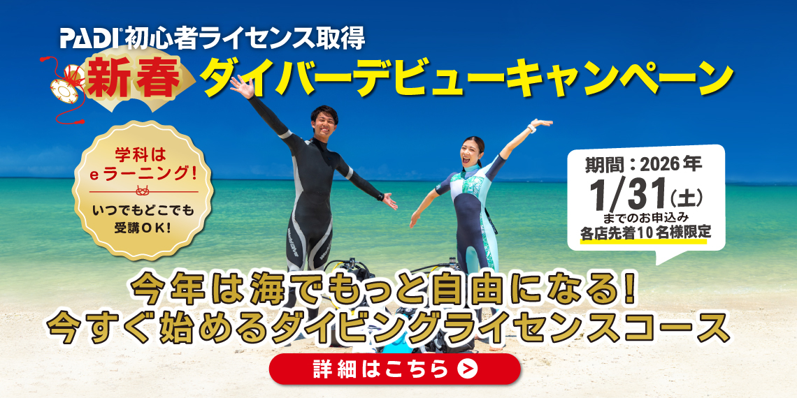 ダイバーデビュー応援キャンペーン開催中！