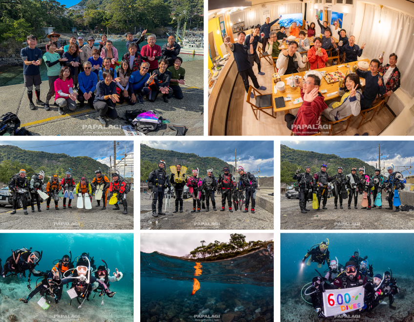 プラチナツアーの様子