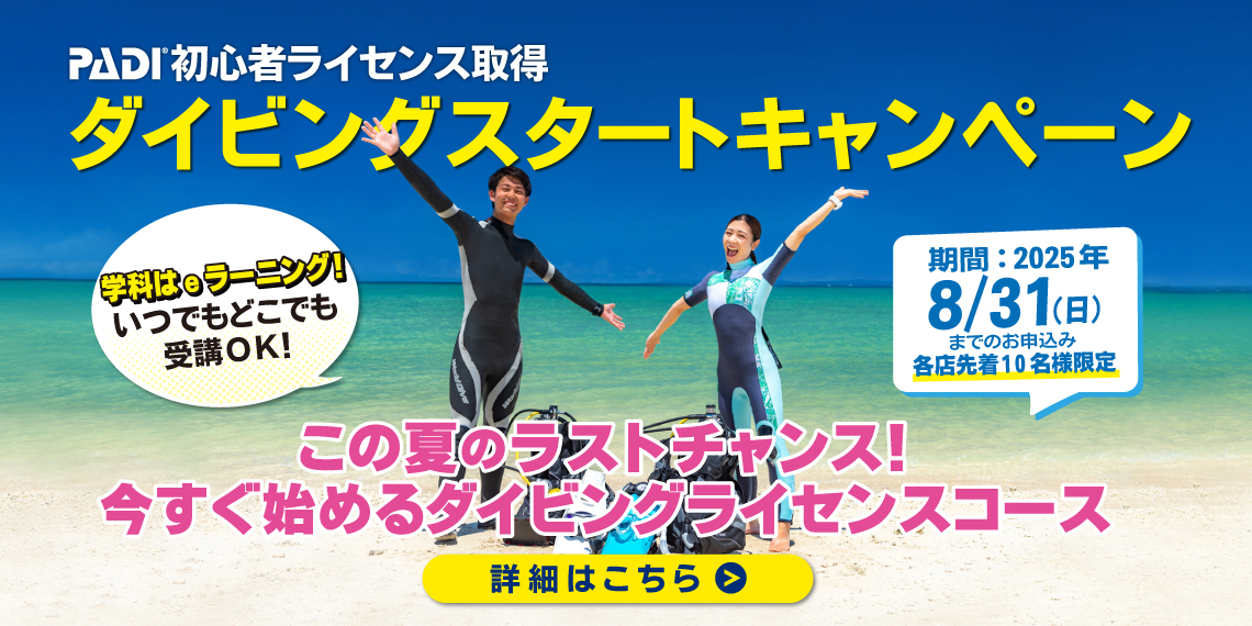 ダイバーデビュー応援キャンペーン開催中！