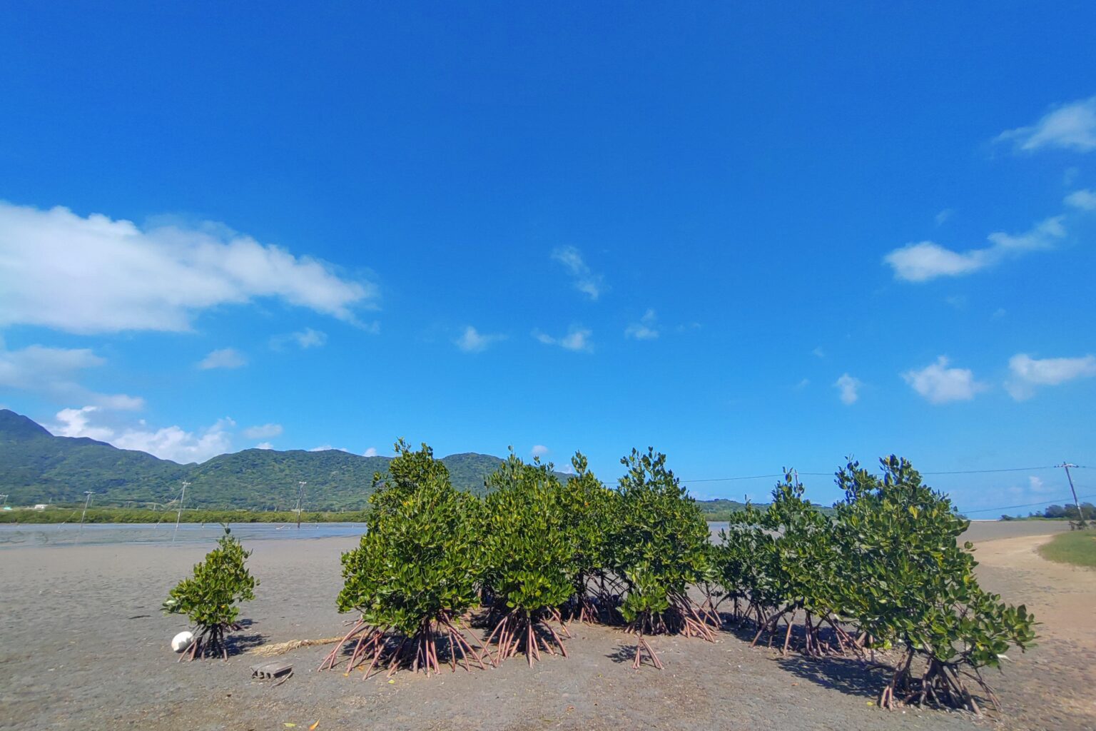 11月13日～16日　西表島ツアー