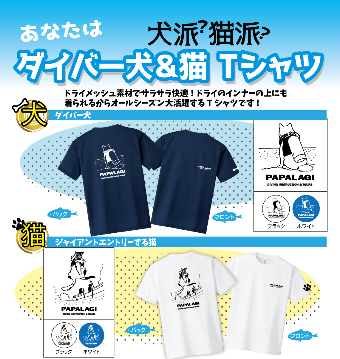 パパラギ35周年tシャツ パパラギダイビングスクールでダイビングライセンス取得