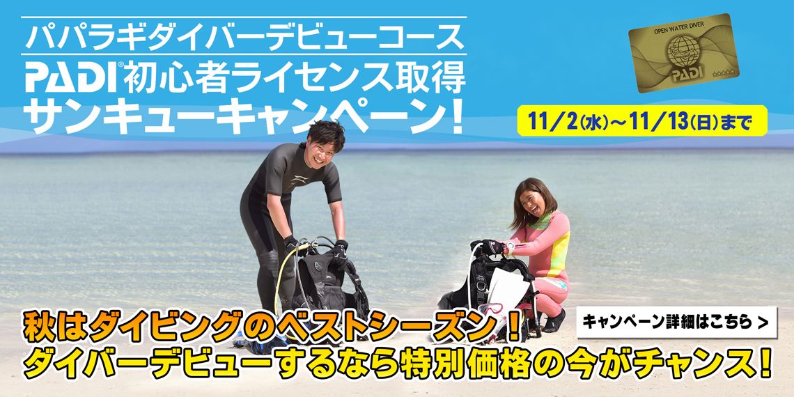 伊豆ダイビングスポットおすすめ28選 伊豆の達人がエリア別に厳選してご紹介 パパラギダイビングスクールでダイビングライセンス取得