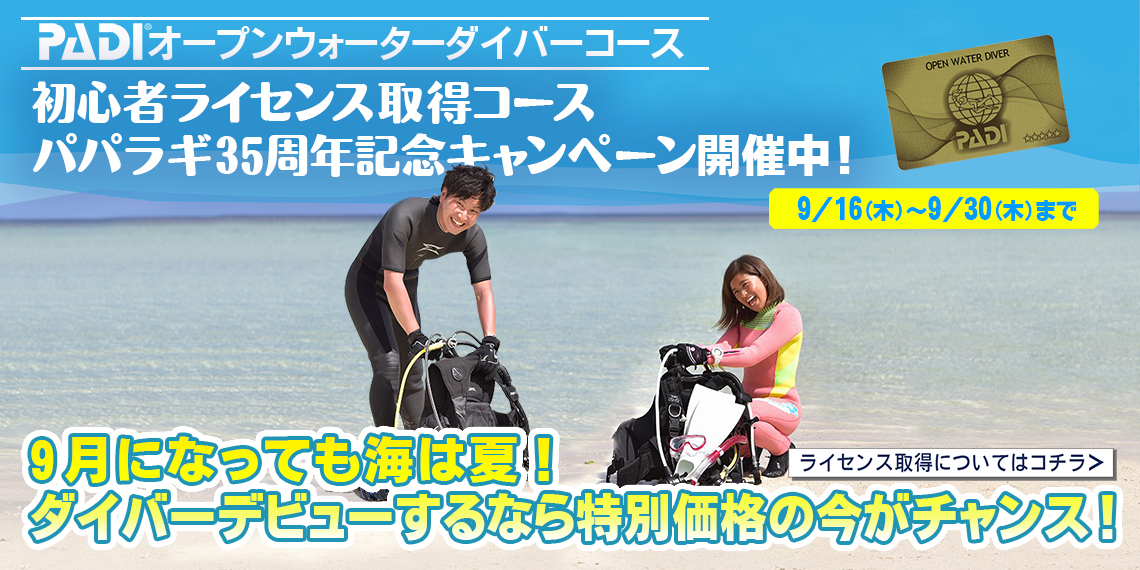 池袋 ダイビングライセンス取得 パパラギ池袋店 Padiダイビングショップ パパラギダイビングスクールでダイビングライセンス取得