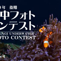 2020年パパラギ フォトコンテスト後期募集 2020年パパラギ フォトコンテスト後期募集