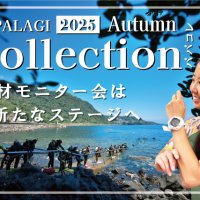 PAPALAGI Collection パパコレ