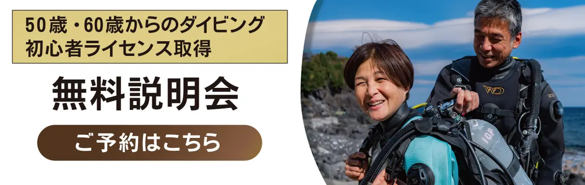 お問い合わせ 来店 予約 - パパラギダイビングスクールでダイビング