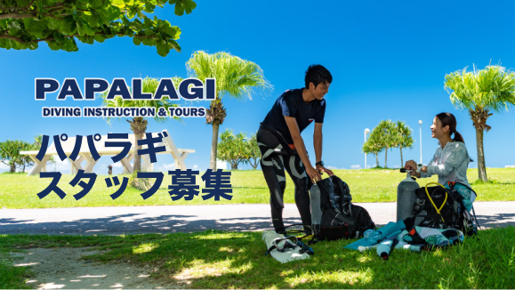 パパラギ スタッフ募集