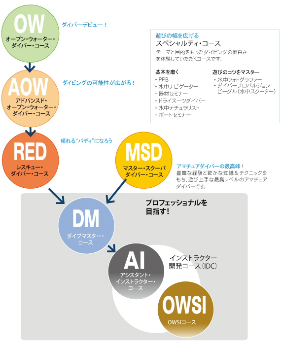スキルアップ講習プログラム フロー図