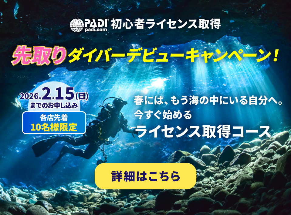 ダイバーデビューキャンペーン 詳細はこちら