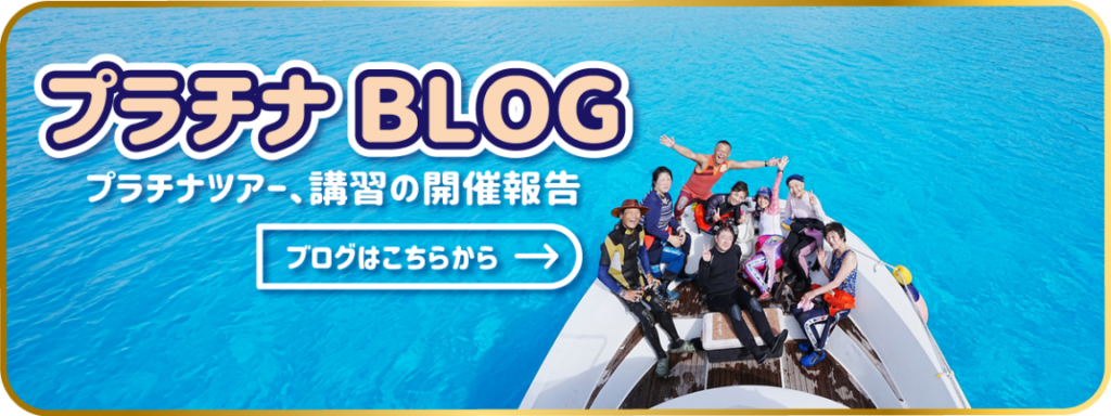 プラチナブログ 詳細はこちら