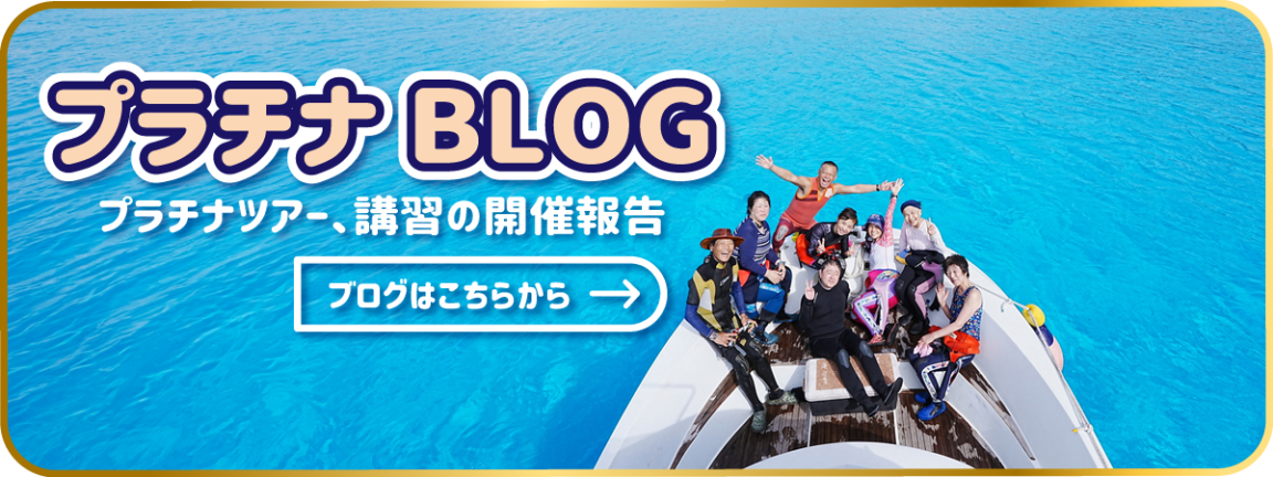 プラチナブログ 詳細はこちら