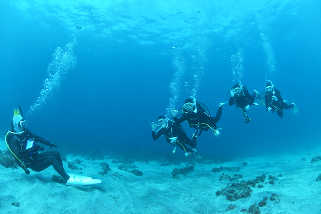 複数人で水中を泳ぐ様子