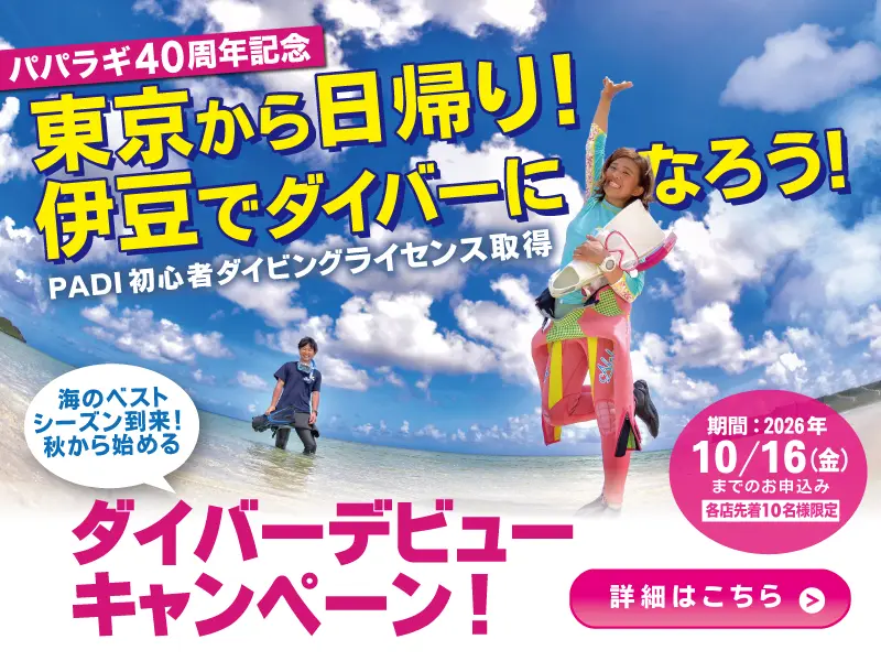 PADIライセンス取得をしてダイビングを始めるには？ - パパラギ 