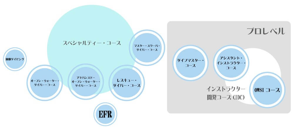 PADIランクチャート
