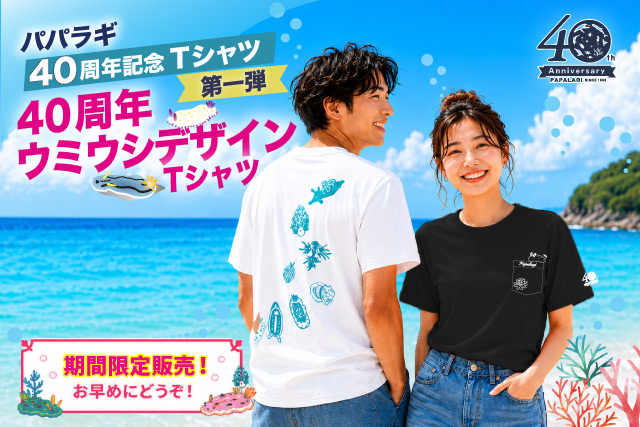 パパラギ オリジナルTシャツ