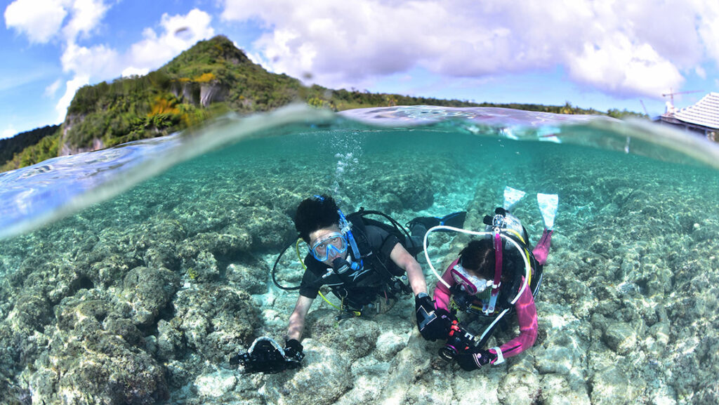 ダイビングライセンス取得の費用、相場とショップによる違いを徹底解説