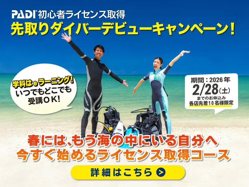 立川 ダイビングライセンス取得｜PADIダイビングショップ パパラギ立川
