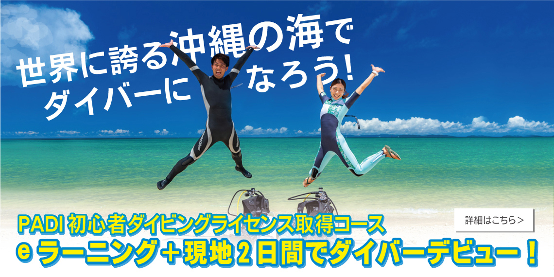 沖縄の海でダイバーになろう!