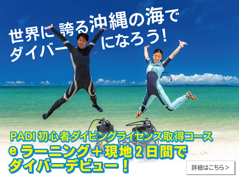 沖縄の海でダイバーになろう!