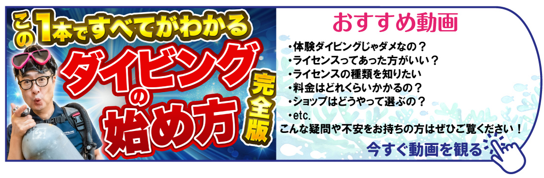 動画で解説 ダイビングの始め方