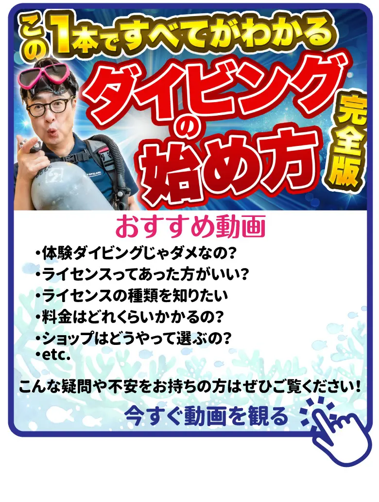 ダイビングライセンス取得の費用、相場とショップによる違いを徹底解説