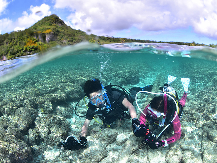 ダイビングライセンス取得の費用、相場とショップによる違いを徹底解説