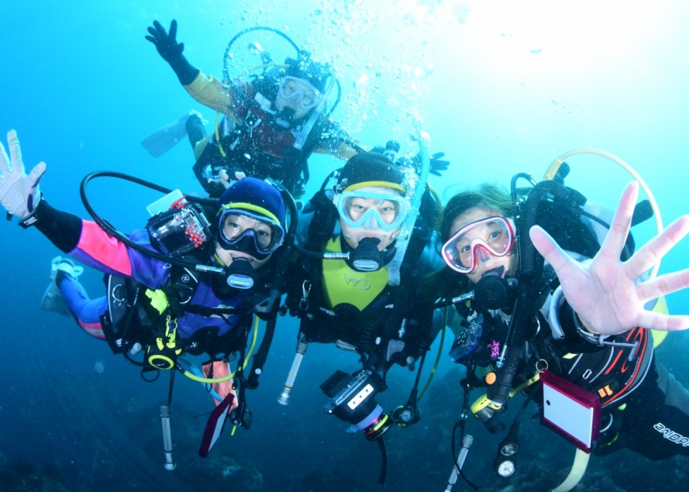 伊豆の海はダイビングのメッカ