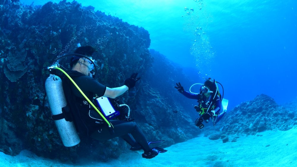 体験ダイビングと認定ダイバーの違い