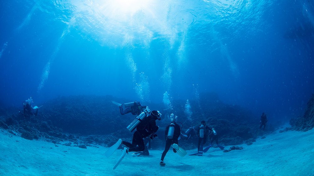 体験ダイビングとはどう違う？
