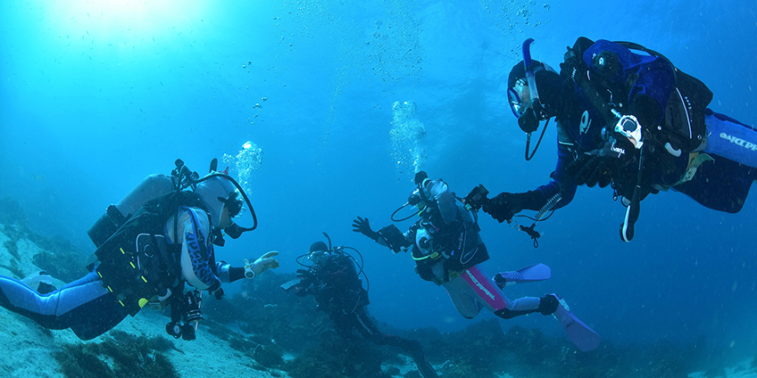 ドライスーツを買うならパパラギで
