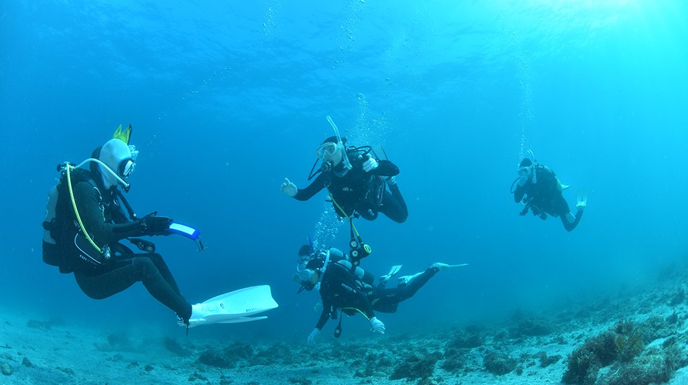 都市型ショップ