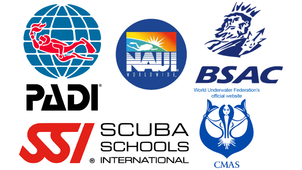 ダイビング指導団体一覧