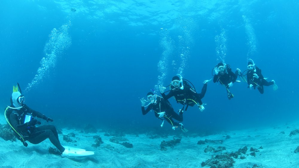 複数人で水中を泳ぐ様子